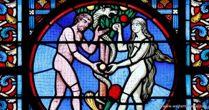 Joseph: As Pro-Abortion Fanatics Scream About 'Choice,' Remember the Decision That Was Made in Eden