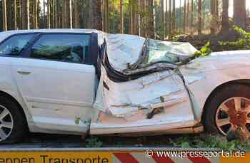 FW-OE: Verkehrsunfall auf der L880