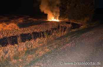 FW-Schermbeck: Kleiner Feldbrand wurde schnell gelöscht