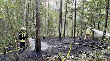 Feuerwehren löschen großen Flächenbrand im Kreis Helmstedt