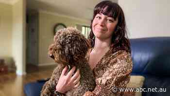 Bank and credit-card fraud rise amid coronavirus lockdowns