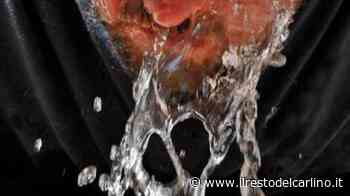 Caldo record, Soliera sfiora i 39 gradi: paese più caldo della Pianura padana - il Resto del Carlino