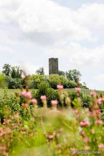 800 Jahre Burg Ravensburg: Burgjubiläum und mehr – Sulzfeld feiert vom 15. bis 17. Juli - kraichgau.news