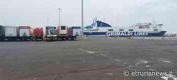 Porto - Grimaldi Lines torna a puntare sul porto di Civitavecchia: nuova linea per Valencia - Paolo Gianlorenzo