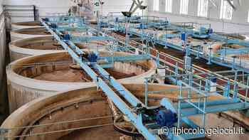 Siccità, AcegasApsAmga assicura: «A Trieste quadro sotto controllo» - Il Piccolo