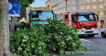 Trieste, incidente di Via Carducci, sanzionato il conducente del... - Trieste News