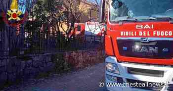 Trieste, incendio sotto la Napoleonica, a fuoco arbusti e sterpaglie - Trieste News
