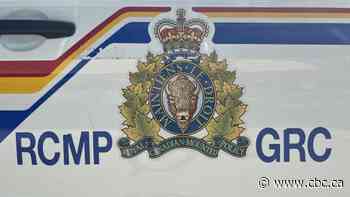 Police shoot, kill 27-year-old man during Highway 1 standoff near Belle Plaine, Sask.