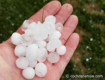 Canadian Crop Hail Association: Crop damage moderate after recent storms - CochraneNow.com