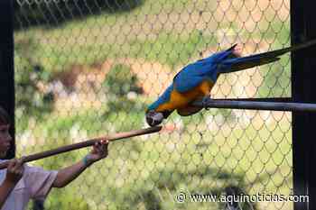 Bioparque das Aves em Domingos Martins é opção durante férias escolares - Aqui Notícias - Ache Aqui Notícias