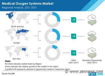 Medical Oxygen Systems Industry: Compressed Medical Oxygen Cylinders to Gain Significant Traction : Report - EIN News