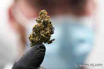 Ewing medical marijuana dispensary opens with hopes of selling adult weed in the fall - NJ.com