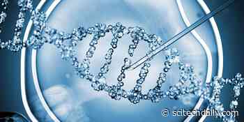 DNA Nano-Device Injection Found To Be Safe for Medical Use - SciTechDaily
