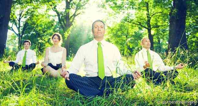 Corporate structures for environmental sustainability