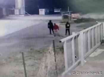 Rubato trattore e spargi paglia - Crema News