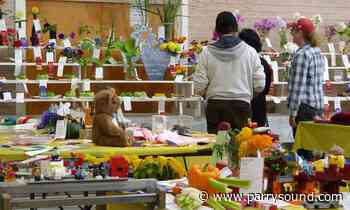 Never too early to start planning for McKellar Fall Fair - parrysound.com