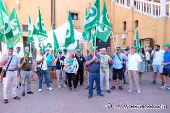 La denuncia degli agricoltori di Cia Ferrara: “Lavoriamo sottocosto” | estense.com Ferrara - Estense.com