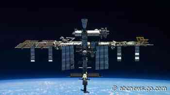 High-flying experiment: Do stem cells grow better in space?