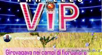 Gf Vip, Alfonso Signorini svela il sesto indizio sul prossimo concorrente. Ecco di chi si tratta - ilmattino.it