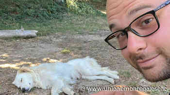 Prosegue il viaggio di Marco: tutta la Penisola a piedi. «Ora ho trovato una compagna di viaggio... a quattro zampe» - Unione Monregalese