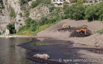 Agropoli, in zona porto lavori in corso per rimuovere la posidonia ancora spiaggiata - Salernonotizie.it