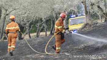 Allarme incendi in vallata Uomini e mezzi all’opera - LA NAZIONE