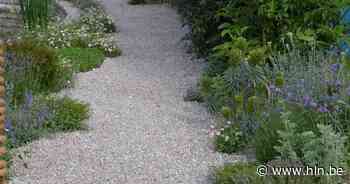 Vernieuwde voetpaden in Edegem zullen grotendeels onthard worden: “Extreme periodes van regen en droogte tegengaan” - Het Laatste Nieuws
