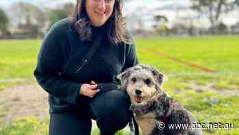 Sally has has 'no more fat to cut' from her budget as medication costs add up