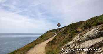 Strategy to halt biodiversity loss in north Dublin cannot be achieved due to lack of funding - The Irish Times