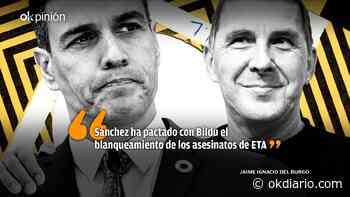 Sánchez pacta con Bildu la deslegitimación democrática del PSOE - Okdiario