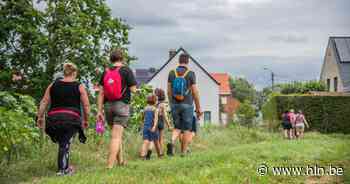 Denderklokjes op Dender- en Scheldetocht | Lebbeke | hln.be - Het Laatste Nieuws