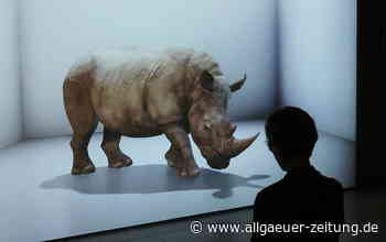 Mewo-Kunsthalle Memmingen: Besucherzahlen höher als vor Corona - Allgäuer Zeitung