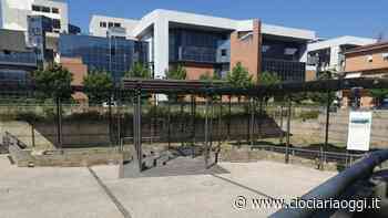 Un sito archeologico tra i rifiuti: piazza Annunziata tra degrado e incuria - ciociariaoggi.it