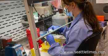 CDC says COVID level ‘high’ in King County, recommends masks - The Seattle Times