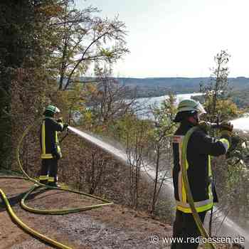 Hitzewelle in Essen: Waldbrandgefahr steigt - Radio Essen