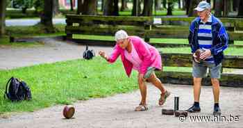 Krulbolexpo in Driesmolen | Evergem | hln.be - Het Laatste Nieuws