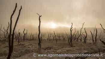 Ispra, il clima in Italia nel 2021? Caldo anomalo in inverno e meno piogge - Giornale della Protezione civile