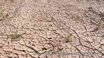 Webinar Ispra: circa 500 milioni di persone vivono in zone desertificate - Giornale della Protezione civile