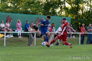 MTV Eintracht Celle verliert gegen Egestorf und holt Torwart Tim Freund - Cellesche Zeitung