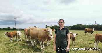 Cornwall farm vet shares reality of devastating times for the job she loves - Cornwall Live