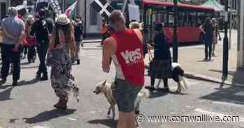 Cornwall dog lovers angry at pets being walked for hours in blistering afternoon heat - Cornwall Live
