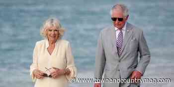 The 8 Best Books About Prince Charles and Camilla, Duchess of Cornwall - Town & Country