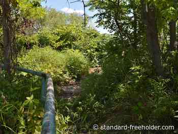 Homelessness remains present along Cornwall's waterfront - Cornwall Standard-Freeholder