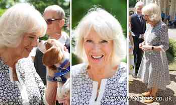 Duchess of Cornwall wears stylish summer dress for 'adorable' event - and 'looks fabulous' - Express