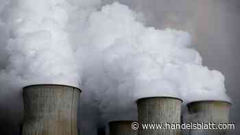 Votum: Nachhaltigkeit disruptiert die Wirtschaft