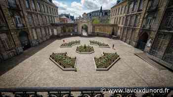 Arras: l'abbaye Saint-Vaast se visite de fond en comble chaque mois et bientôt en virtuel - La Voix du Nord