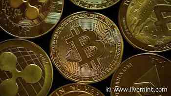 Cryptocurrency market cap goes up to $870.81 billion | Mint - Mint