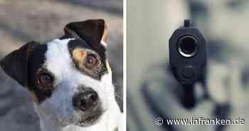 Mainleus: Hundehalter bedroht Mann mit Waffe - weil Tiere frei herumliefen