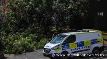 Bolton At Home to remove tree in Horwich - The Bolton News