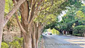 Remiten vecinos al alcalde Urióstegui de Cuernavaca argumentos para no crear ciclovía - Diario de Morelos